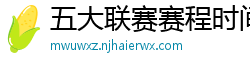 五大联赛赛程时间表2024年